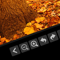 Exclusive Freebies: PhotoViewer XML and Radar Chart