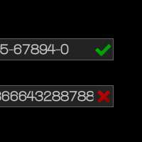 Validating Various Input Data in Flash