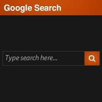Quick Tip: Create a Basic Google Search App in Flash