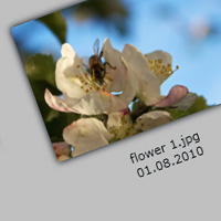 Create a Wallview for Images with Silverlight: Code