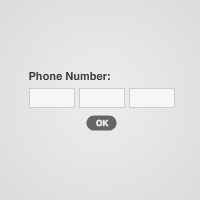 Quick Tip: Auto Tab Between TextFields Using AS3