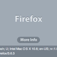 Quick Tip: Detect the Browser and User Agent with AS3