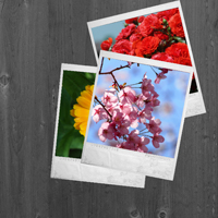 Create a Nifty Polaroid Photo Viewer With Flash and Photoshop
